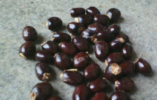 湖南省水利水电勘测设计研究总院召开团委“五四”表彰大会|beat365官网中文(图1)