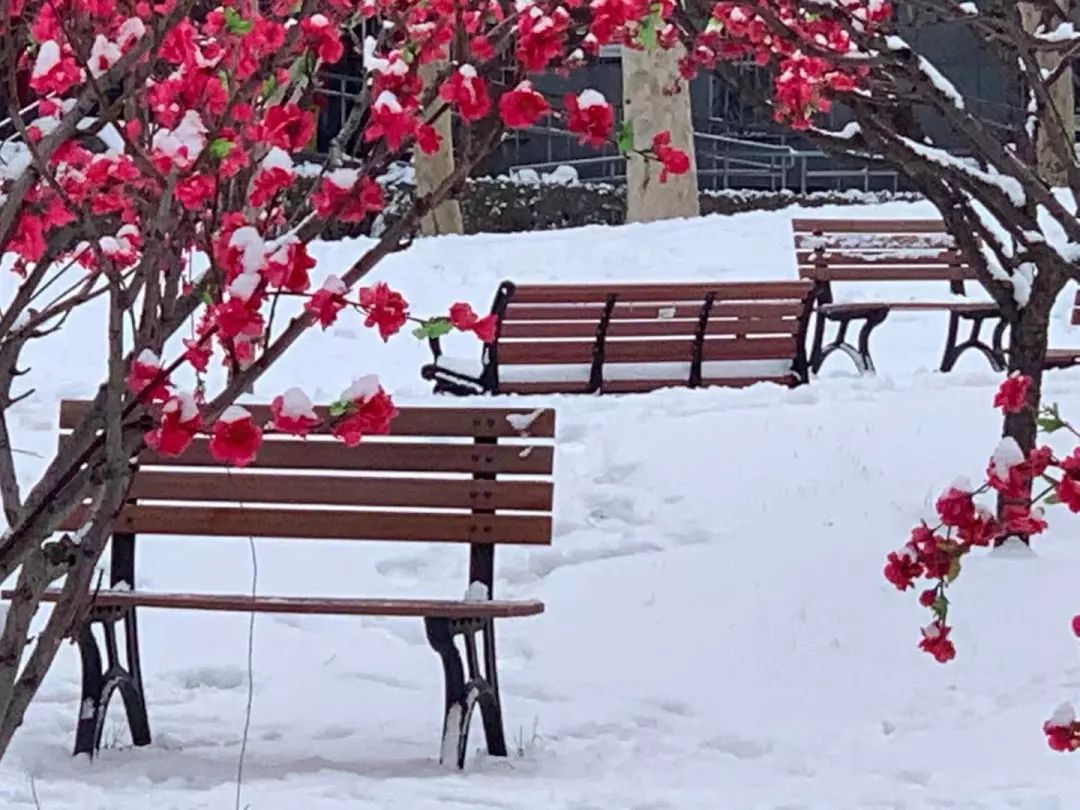 福斯特事务所设计的波尔多玛歌酒庄新酿酒厂已完工-beat365(图3) 福斯特事务所设计的波尔多玛歌酒庄新酿酒厂已完工-beat365(图3)