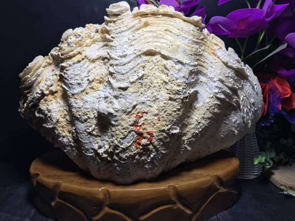 TLS赢得苏州狮山公园景观设计项目‘beat365’(图1)